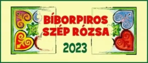 Bíborpiros szép rózsa