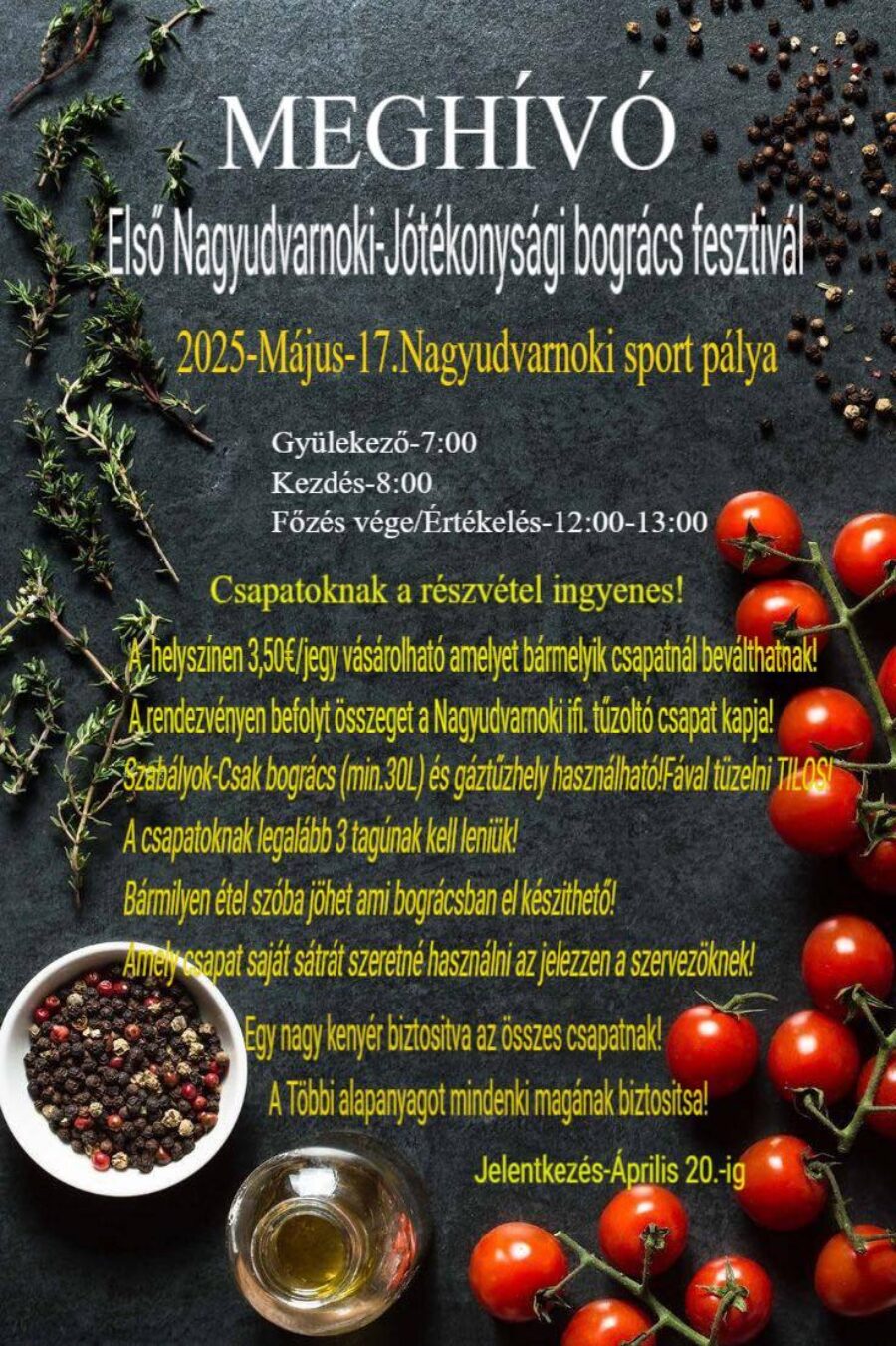 Első Nagyudvarnoki-Jótékonysági bográcsfesztivál