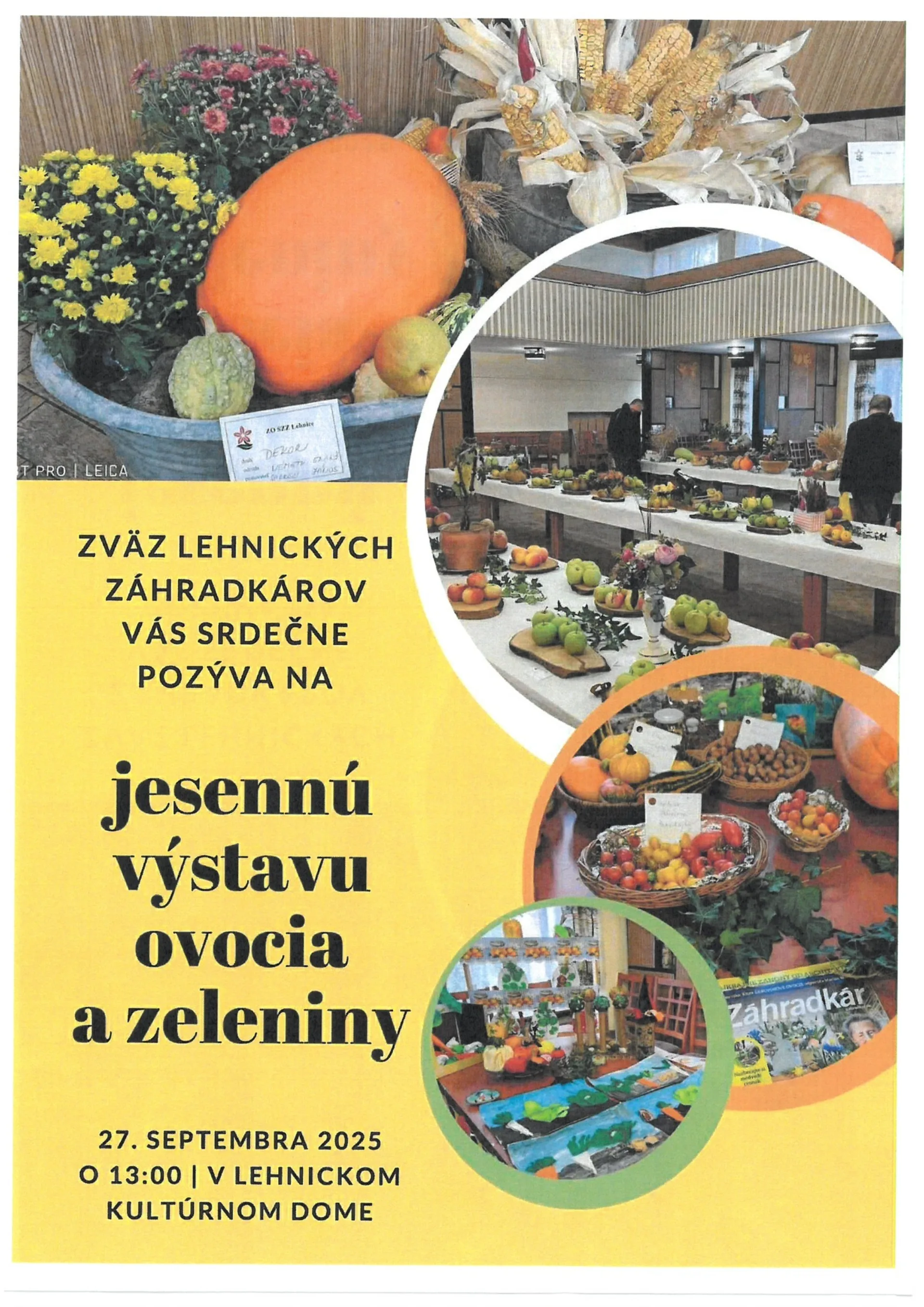 Zöldség és gyümölcs kiállítás