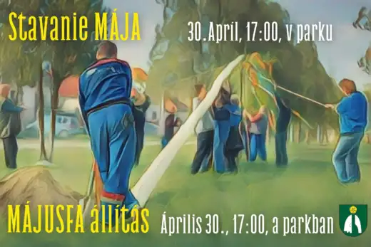 Májusfa állítás