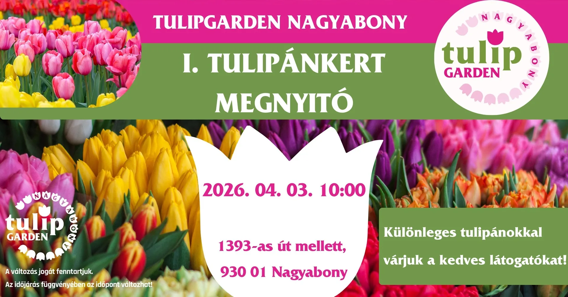 I. Tulipánkert megnyitó