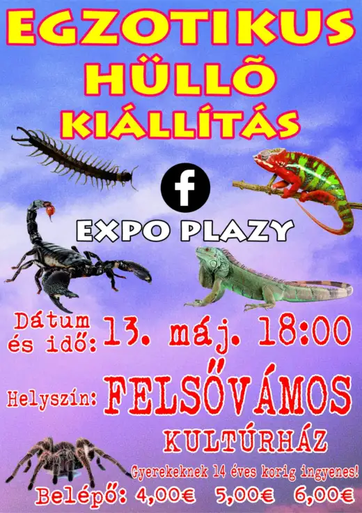 Egzotikus hüllő kiállítás