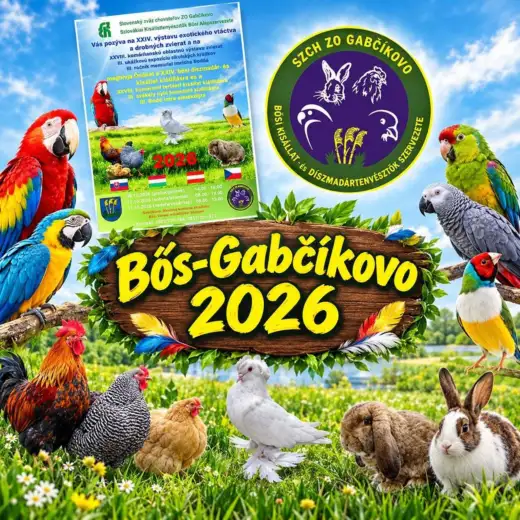 XXIV. bősi díszmadár-és kisállat kiállítás