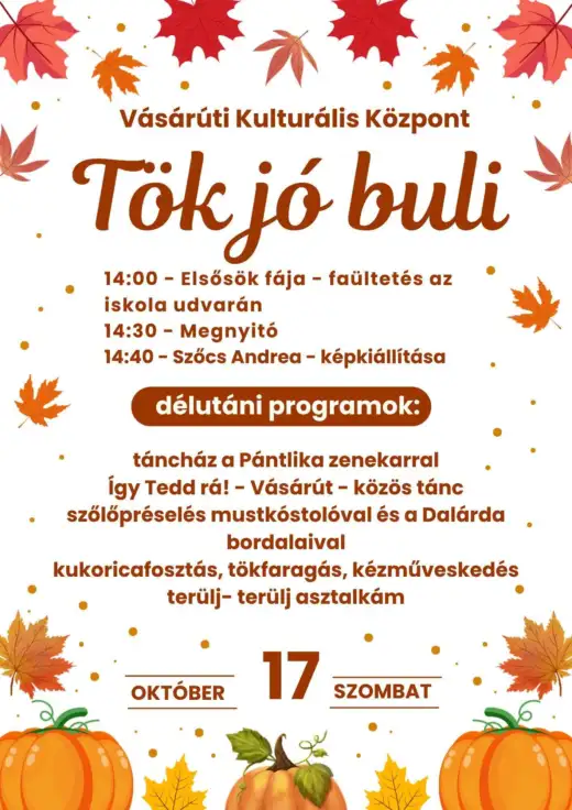 Tök jó buli