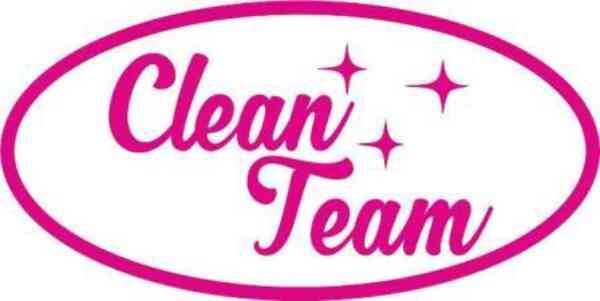 Clean Team logo