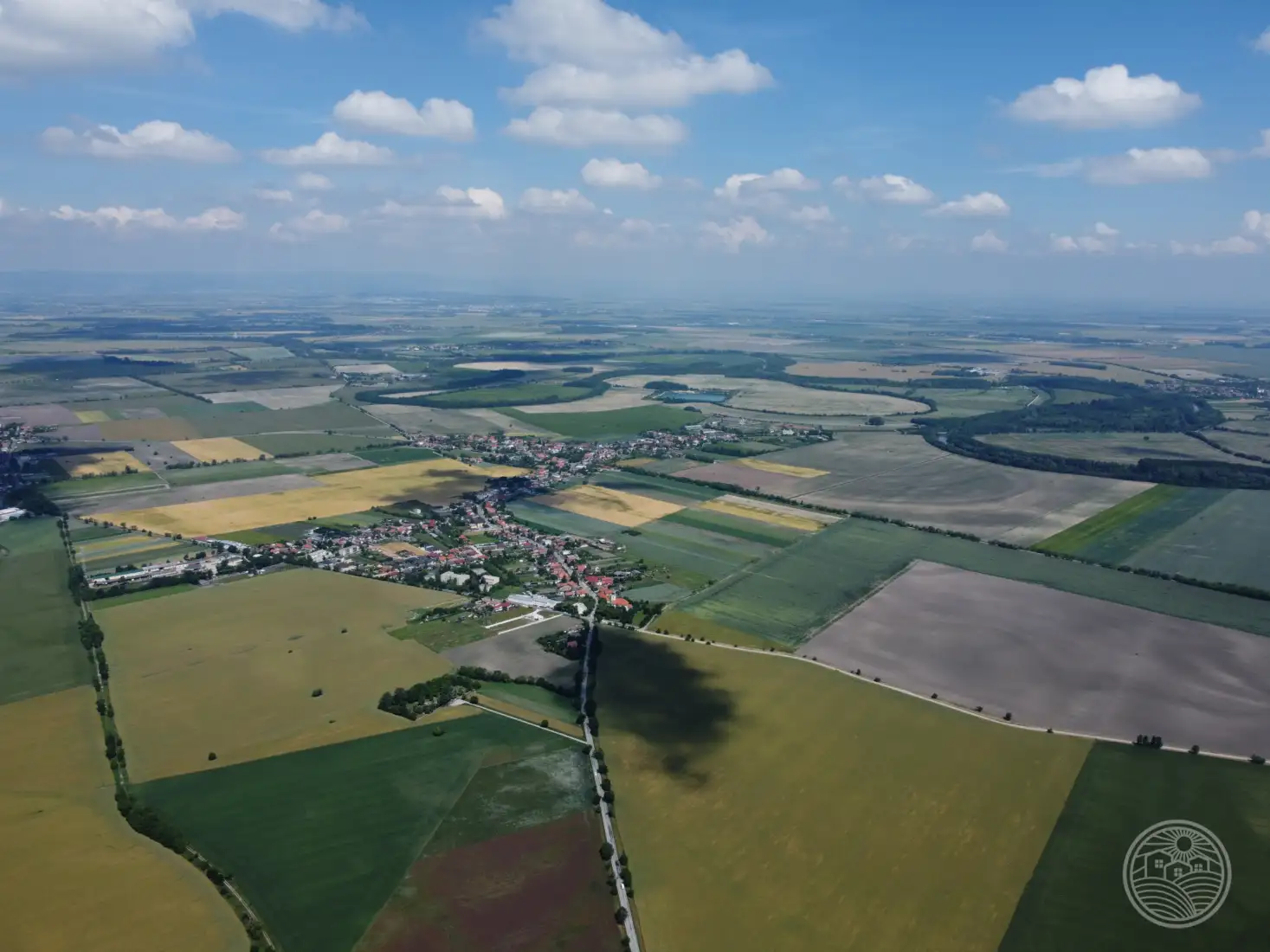 Vtáčie perspektívy...🌞