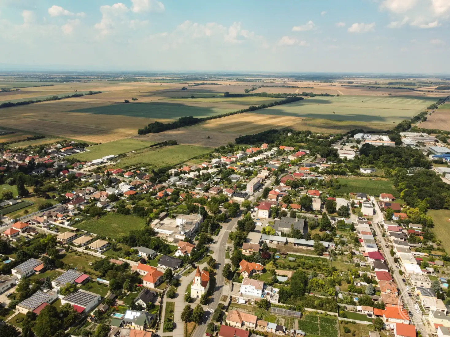 Vtáčie perspektívy...🌞