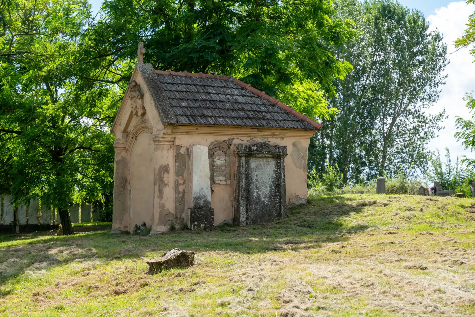 Légről...🌸