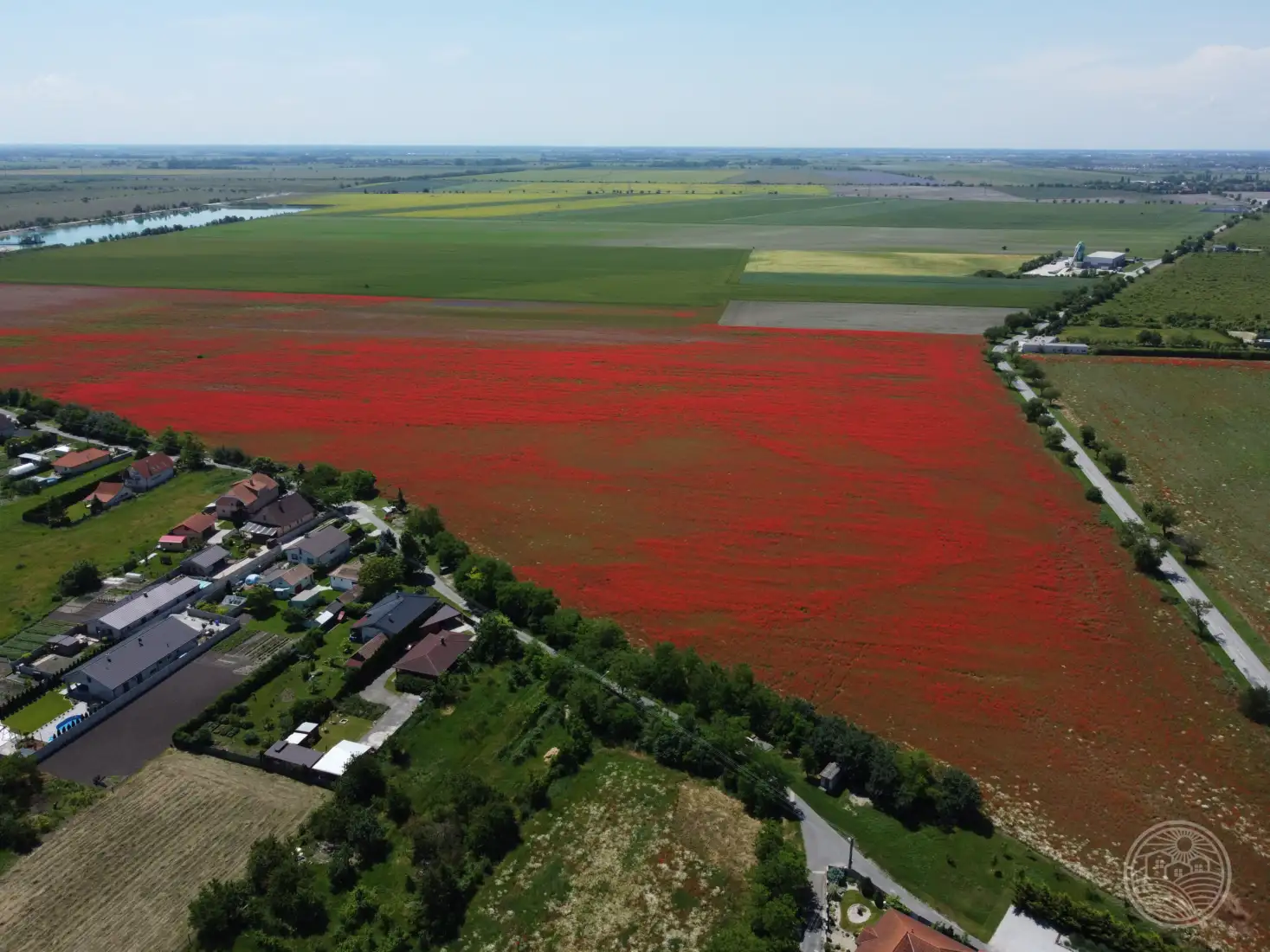 Madártávlatból...🌞